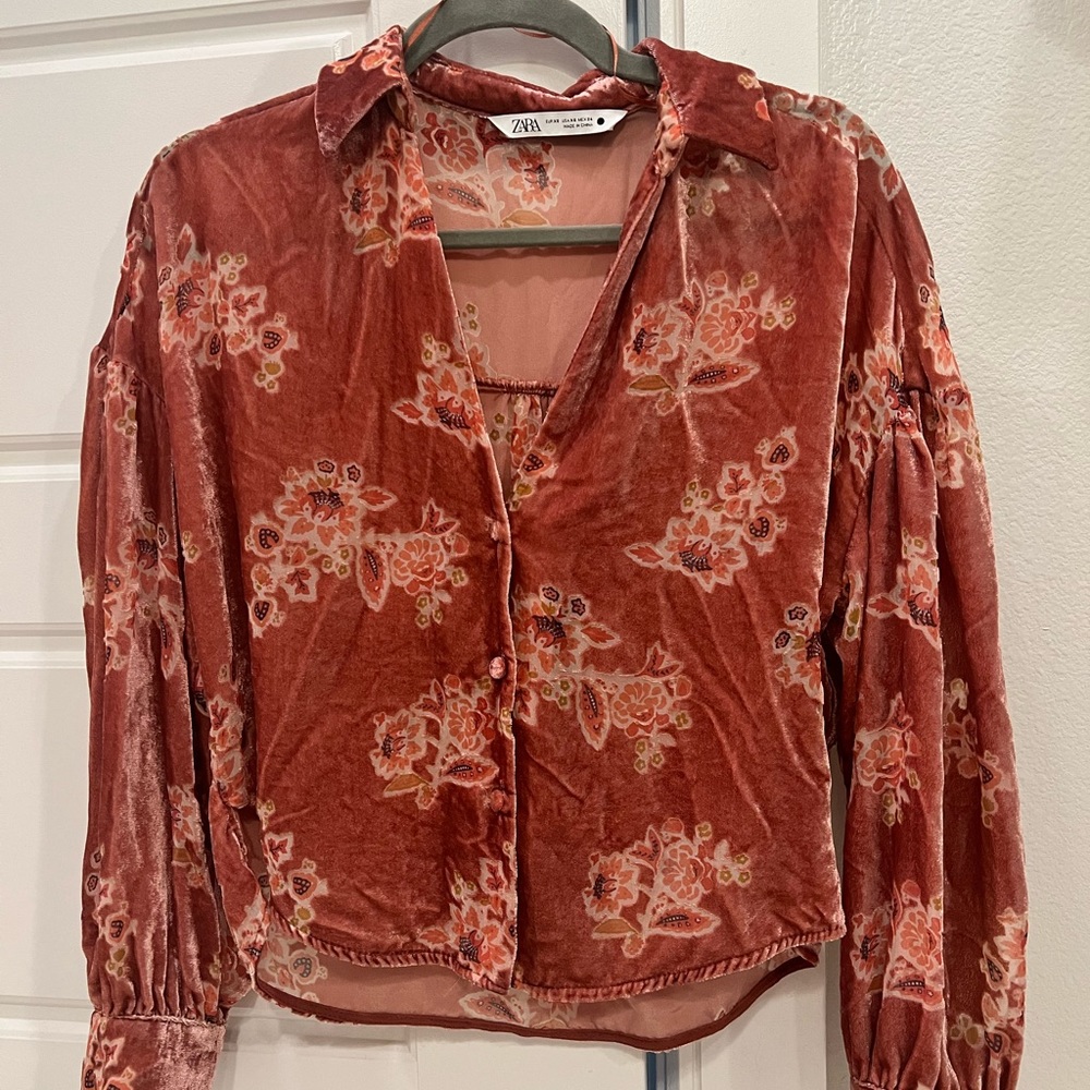 Zara Velvet Burnout Floral Blouse